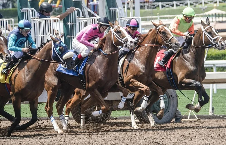 Cheltenham Festival ticket service